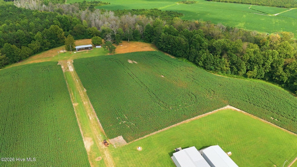 Photo of 1811 Cannon Road, Hobgood, NC 27843 (MLS # 100601155)