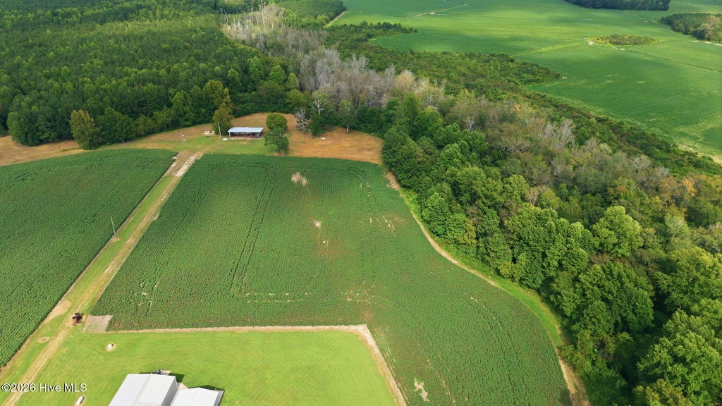 Photo of 1811 Cannon Road, Hobgood, NC 27843 (MLS # 100601155)