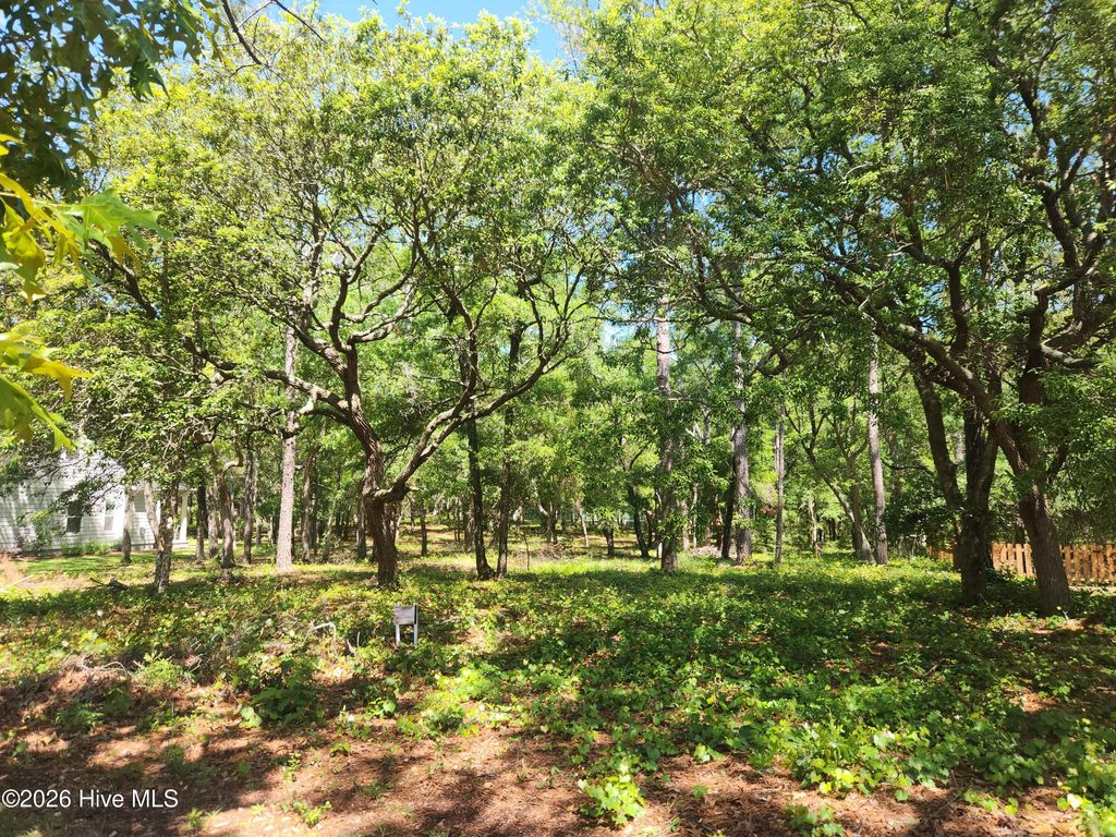 Photo of 782 Folly Drive SE, Bolivia, NC 28422 (MLS # 100571283)