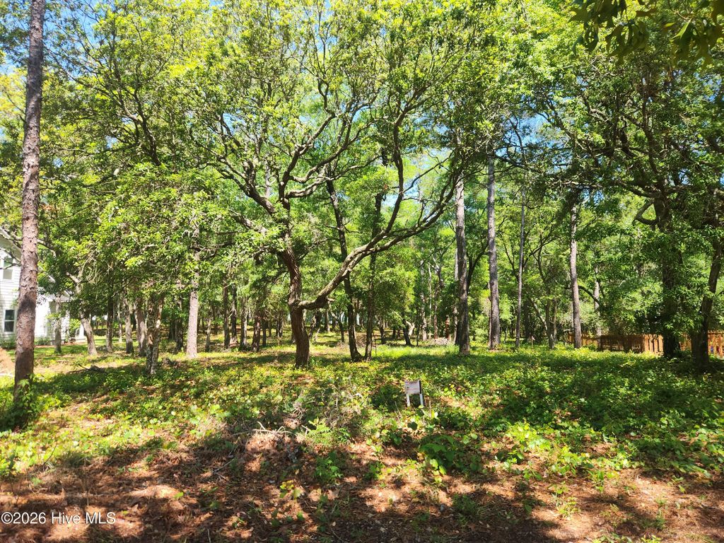 Photo of 782 Folly Drive SE, Bolivia, NC 28422 (MLS # 100571283)