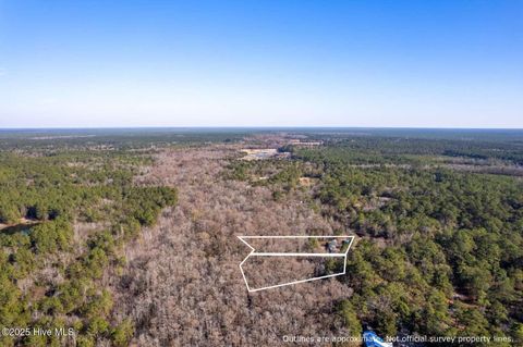 Tiny photo for 140 Red Hawk Lane, Rocky Point, NC 28457 (MLS # 100544981)