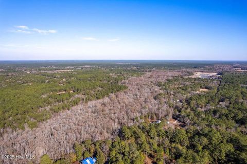 Tiny photo for 140 Red Hawk Lane, Rocky Point, NC 28457 (MLS # 100544981)