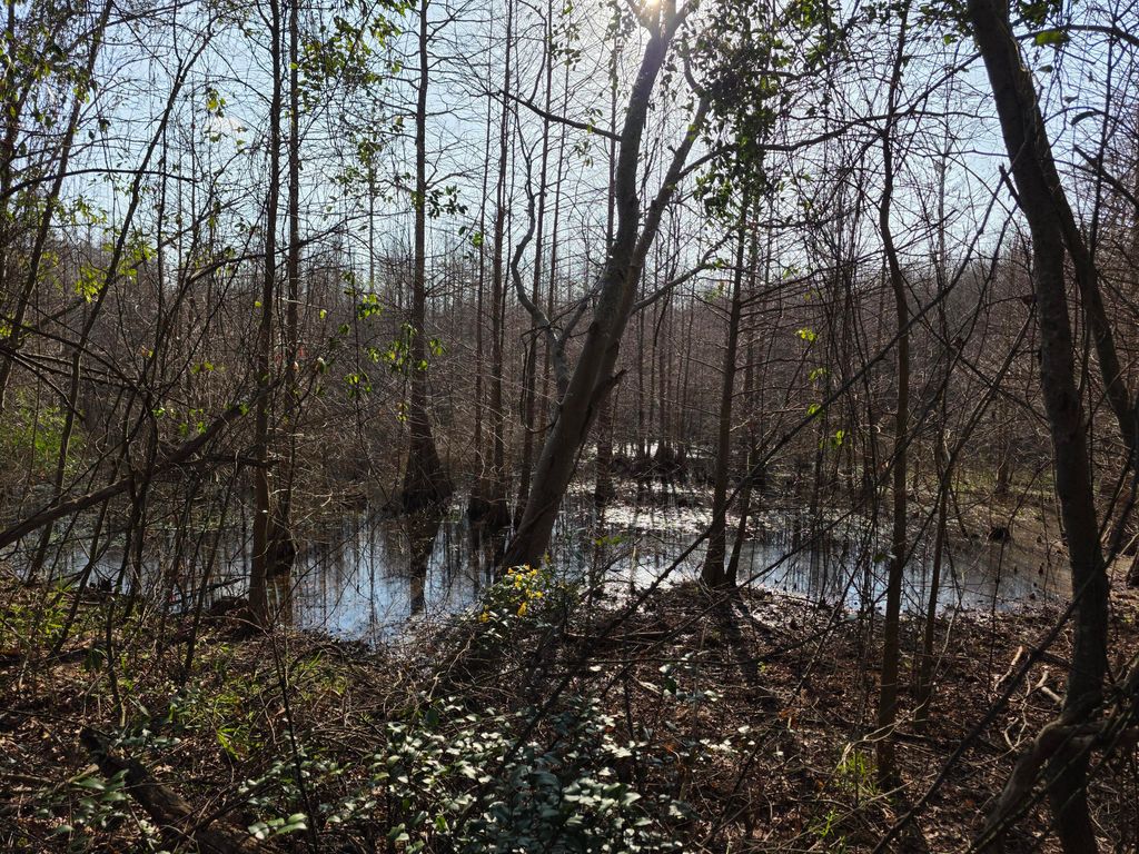 Photo of Tbd Atomic Road, Beech Island, SC 29842 (MLS # 552445)