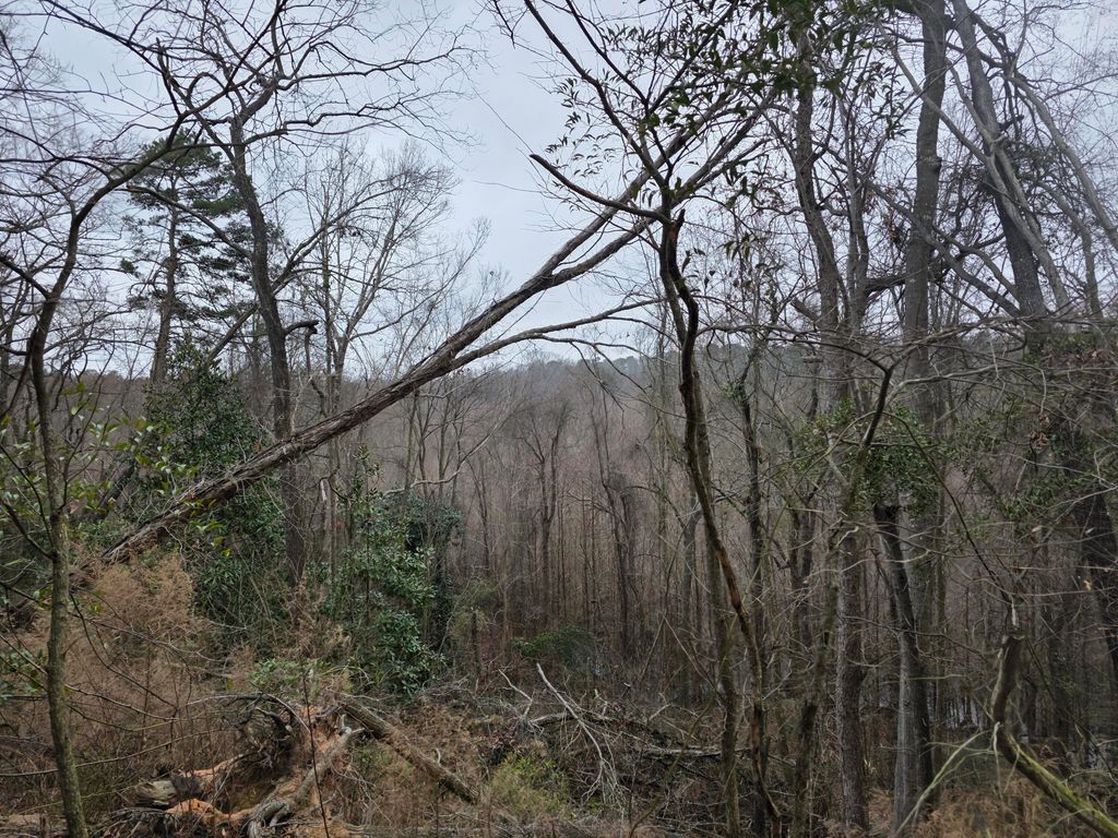 Photo of Tbd Atomic Road, Beech Island, SC 29842 (MLS # 552445)