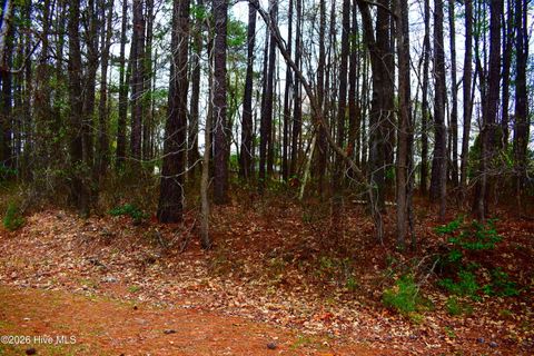 Vacant Land For Sale - 6708 Wood Avenue<br/> Saratoga, NC 27873