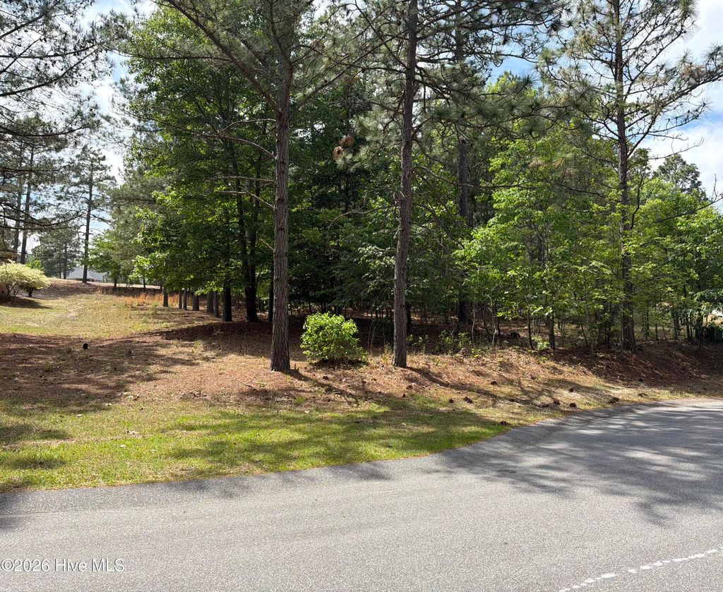 Photo of 128 Carrington Square, West End, NC 27376 (MLS # 100570746)