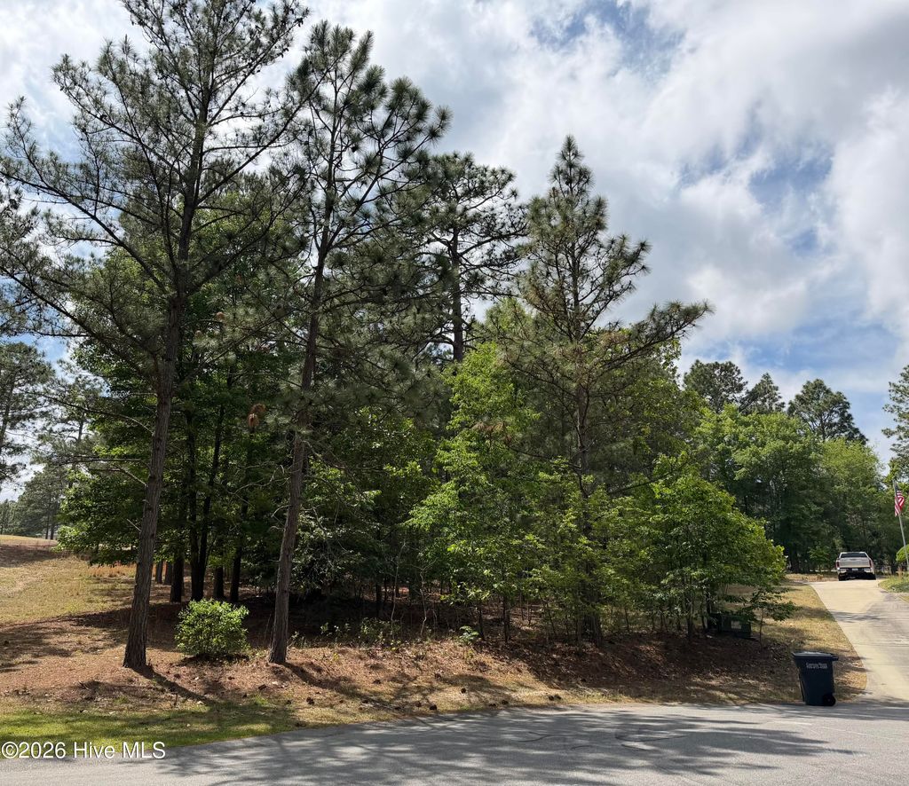 Photo of 128 Carrington Square, West End, NC 27376 (MLS # 100570746)