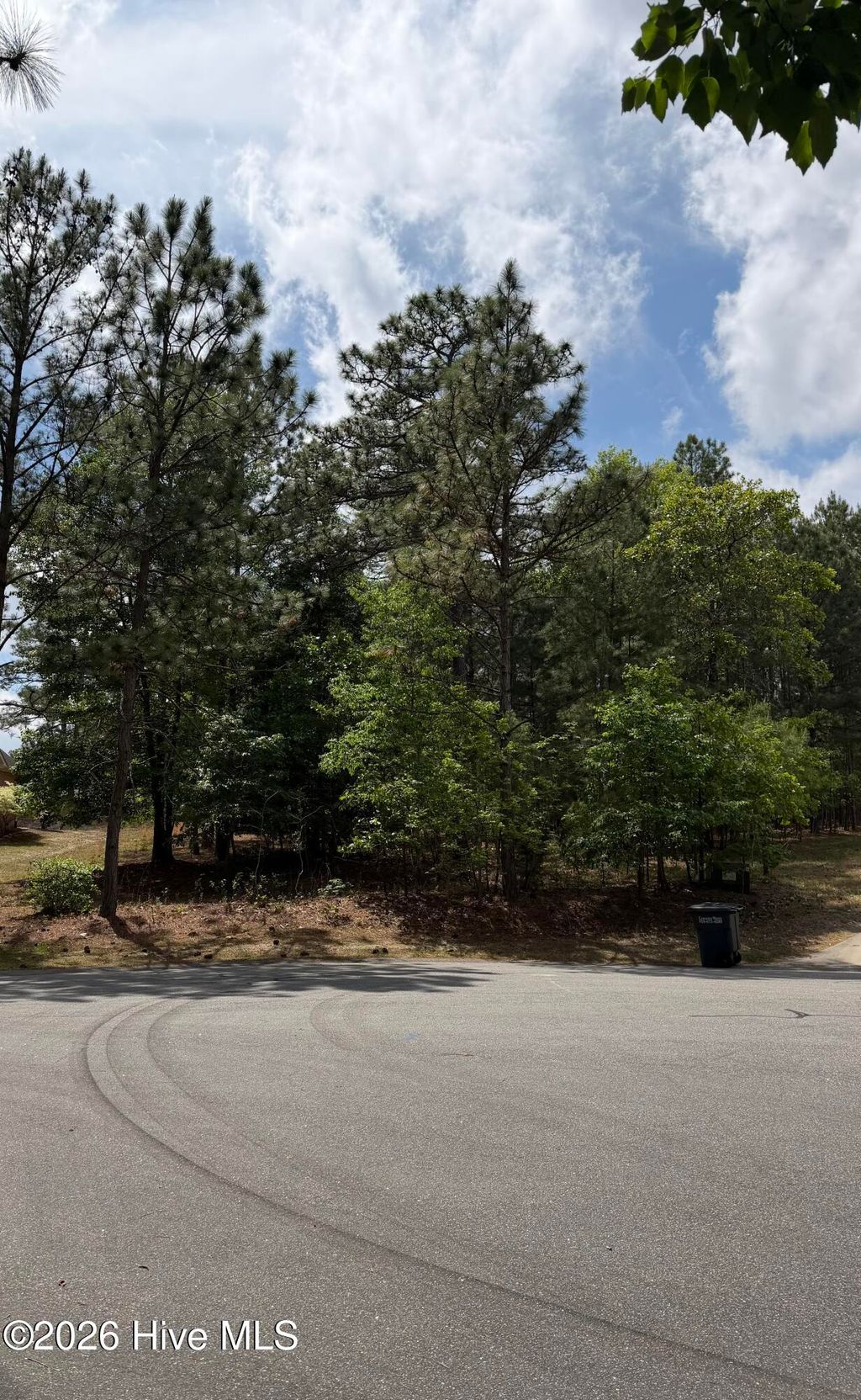 Photo of 128 Carrington Square, West End, NC 27376 (MLS # 100570746)