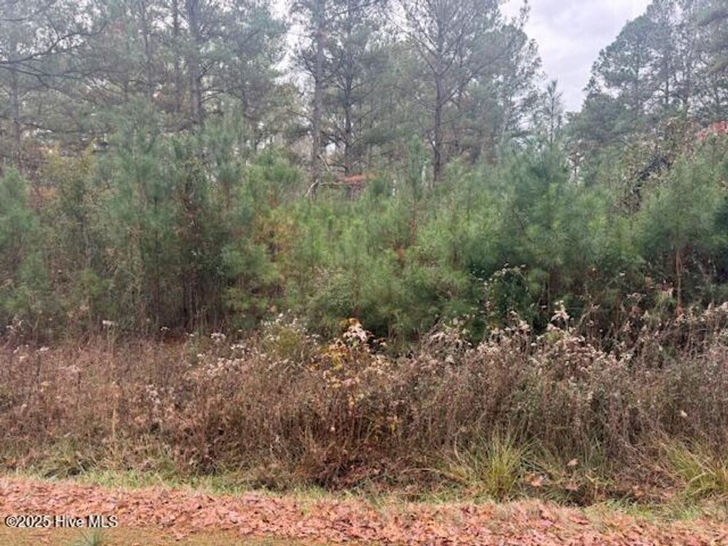 Photo of 0 Wooded Acres Road, Lake Waccamaw, NC 28450 (MLS # 100545910)