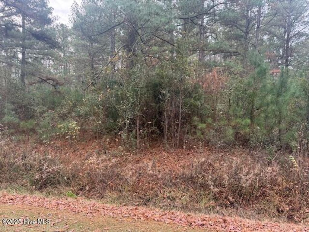 Photo of 0 Wooded Acres Road, Lake Waccamaw, NC 28450 (MLS # 100545910)