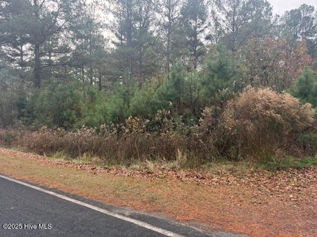 Photo of 0 Wooded Acres Road, Lake Waccamaw, NC 28450 (MLS # 100545910)