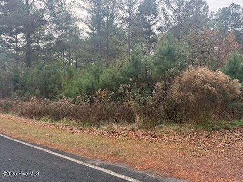 Vacant Land For Sale - Wooded Acres Road<br/> Lake Waccamaw, NC 28450