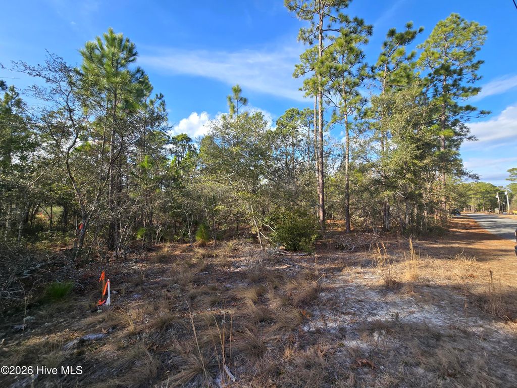Photo of Lot B Harper Lake Dr Drive, Southport, NC 28461 (MLS # 100550541)