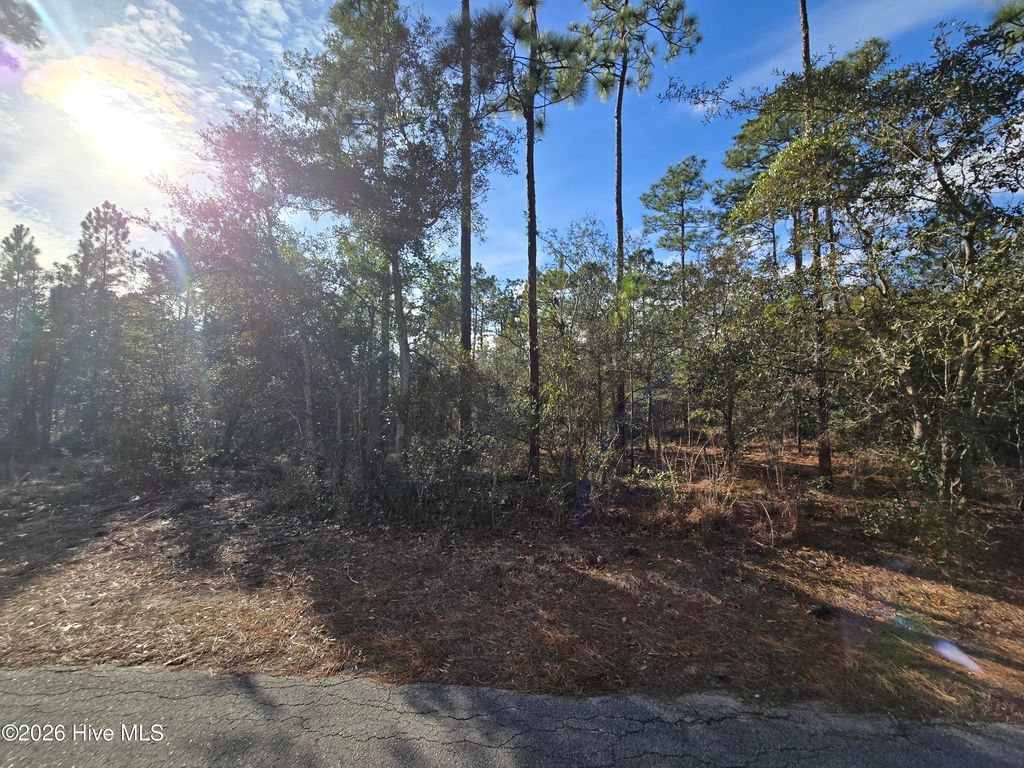 Photo of Lot B Harper Lake Dr Drive, Southport, NC 28461 (MLS # 100550541)