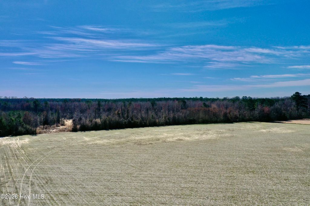Photo of 0 Near 2034 Haynes Len Highway, Cerro Gordo, NC 28430 (MLS # 100556975)