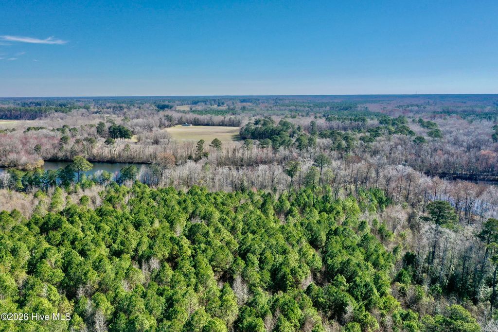 Photo of 0 Near 2034 Haynes Len Highway, Cerro Gordo, NC 28430 (MLS # 100556975)
