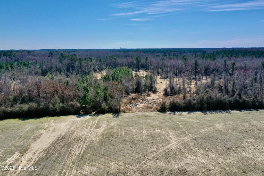 Photo of 0 Near 2034 Haynes Len Highway, Cerro Gordo, NC 28430 (MLS # 100556975)