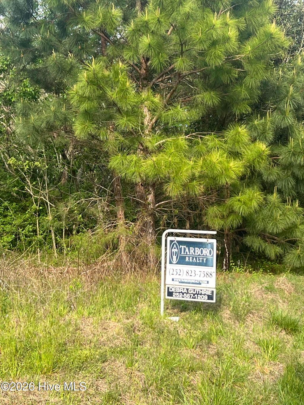 Photo of 6 Jenkins Street, Tarboro, NC 27886 (MLS # 100565313)