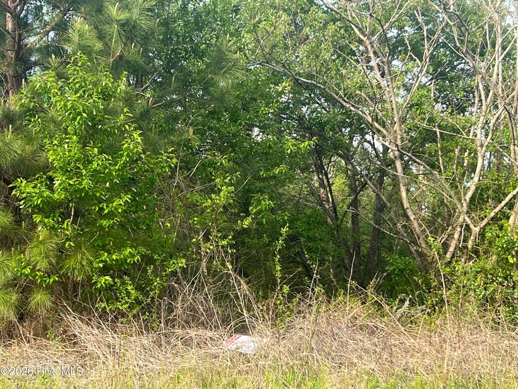 Photo of 6 Jenkins Street, Tarboro, NC 27886 (MLS # 100565313)