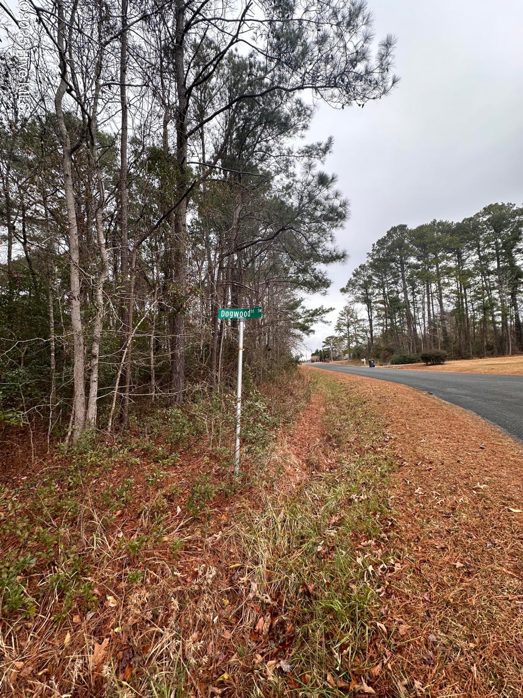 Photo of 151 Dogwood Trail SW, Supply, NC 28462 (MLS # 100609974)