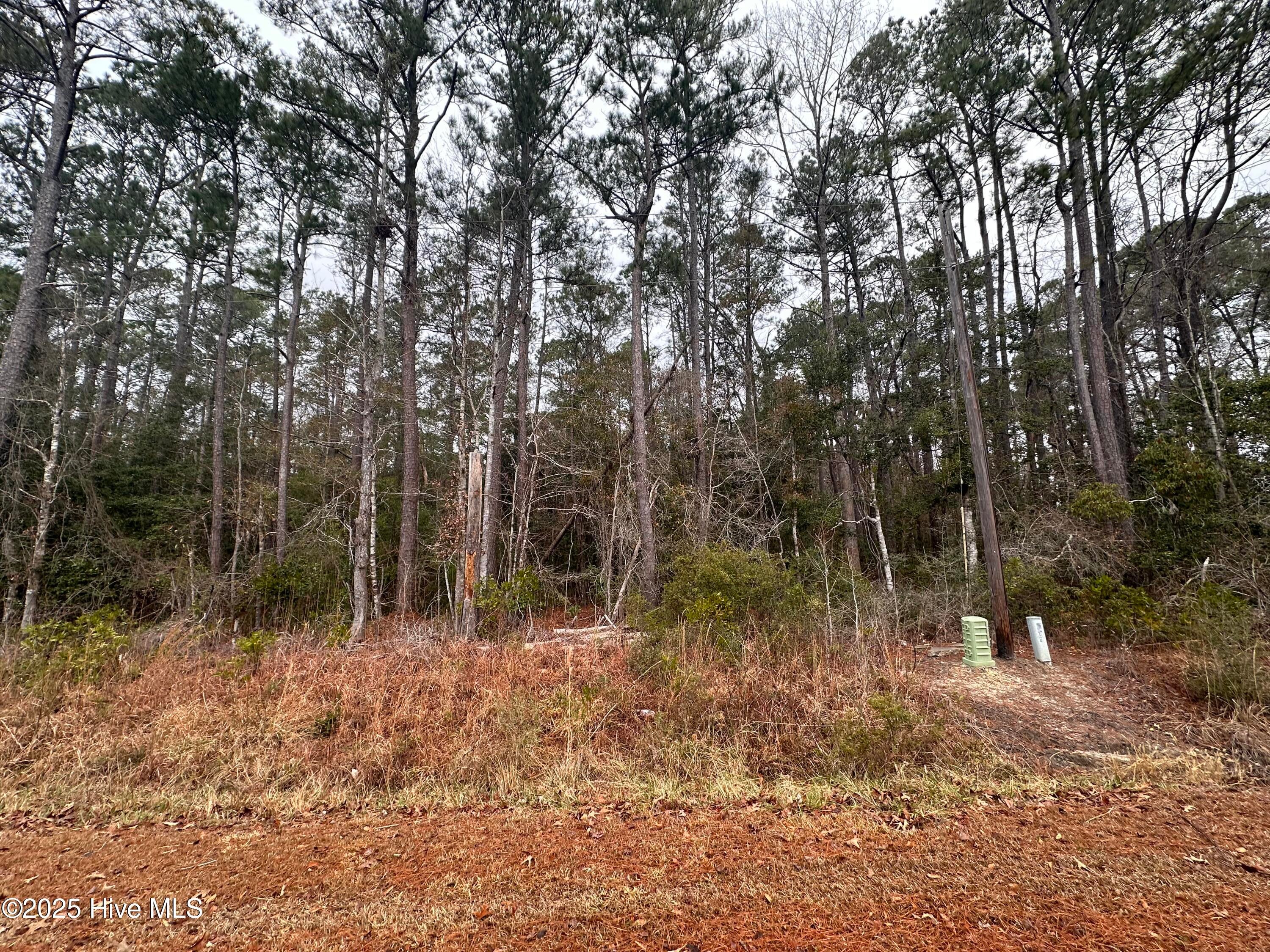 151 Dogwood Trail SW