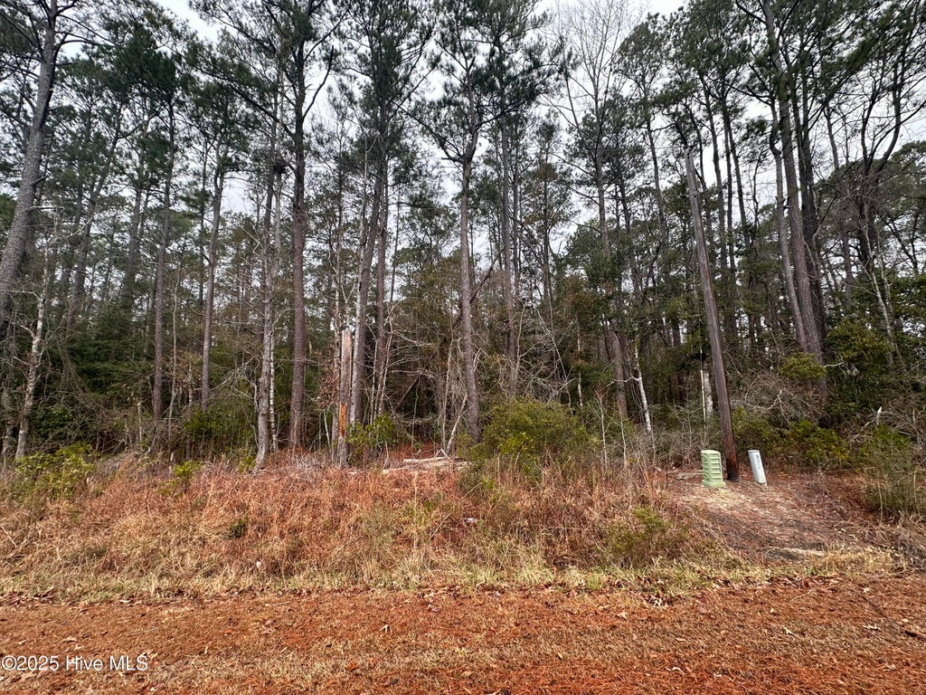 Photo of 151 Dogwood Trail SW, Supply, NC 28462 (MLS # 100609974)