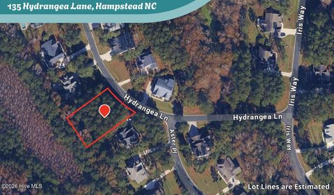 Photo of 135 Hydrangea Lane, Hampstead, NC 28443 (MLS # 100566862)