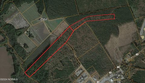 Vacant Land For Sale - TBD Soney Lane<br/> Gates County, Gatesville, NC 27938