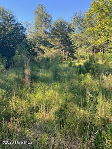Photo of 1071 W 4 Points Road, Keysville, GA 30816 (MLS # 100610012)
