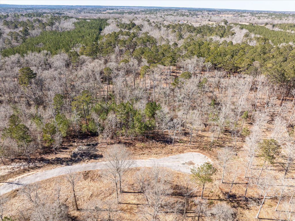 Photo of 151 Gin Branch Road, Thomson, GA 30824 (MLS # 550599)