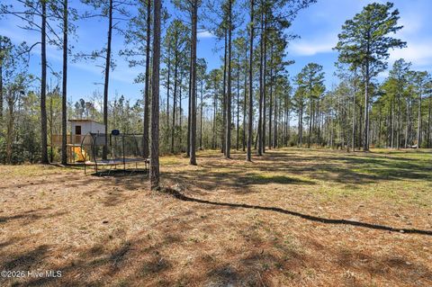 Tiny photo for 96 Secretariat, Rocky Point, NC 28457 (MLS # 100562109)