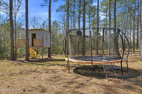 Tiny photo for 96 Secretariat, Rocky Point, NC 28457 (MLS # 100562109)