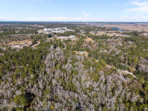 Tiny photo for 2 Chappell Loop Road SE, Leland, NC 28451 (MLS # 100545203)