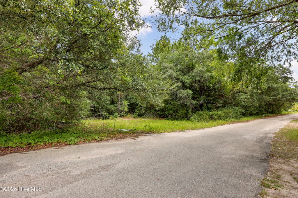 Photo of 312 Alexander Place, Wilmington, NC 28411 (MLS # 100593496)