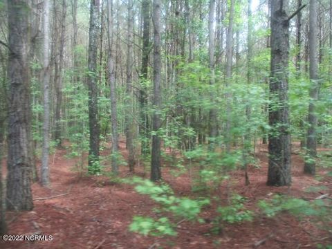 Vacant Land For Sale - Old Mintz Highway<br/> Garland, NC 28441