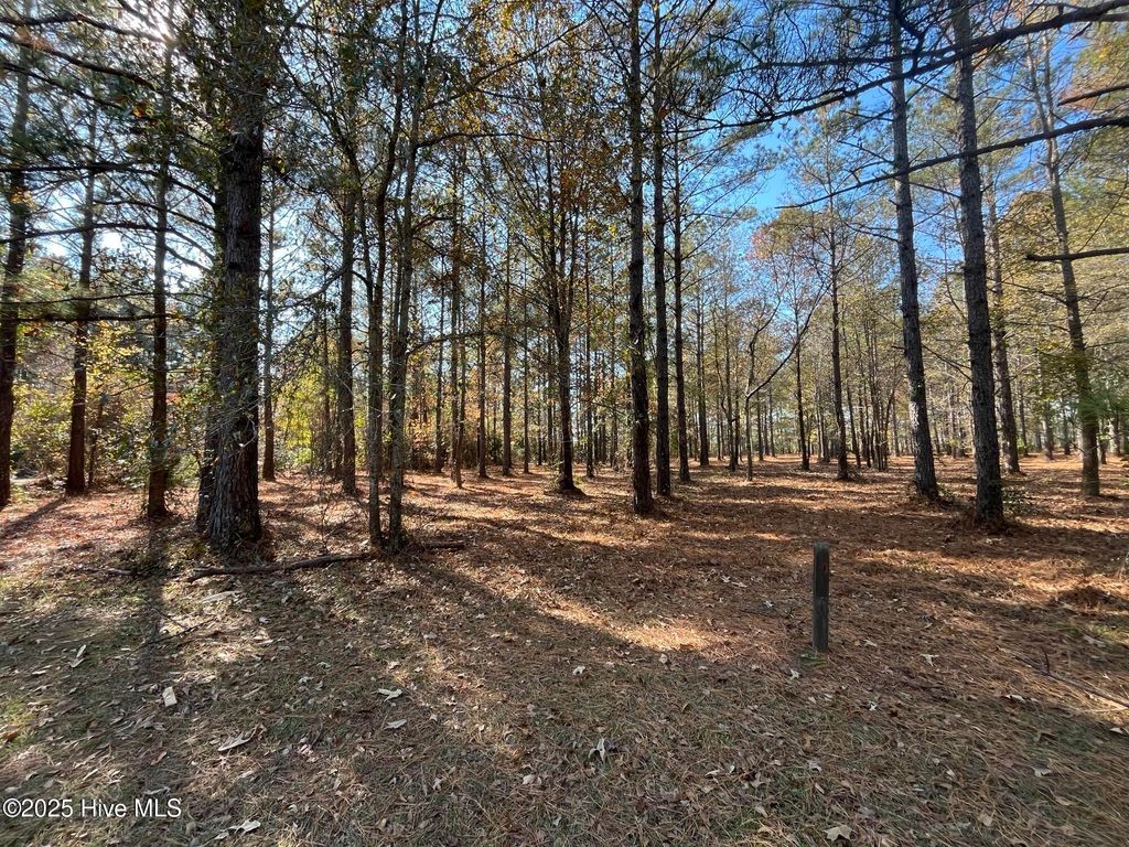 Photo of 21 N Berne Landing Road, New Bern, NC 28560 (MLS # 100504721)