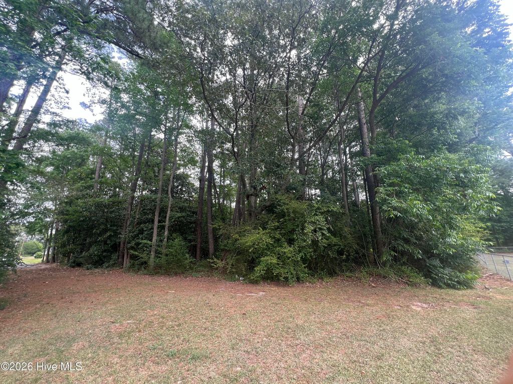 Photo of 0 Mclamb Street, Roseboro, NC 28382 (MLS # 100576227)
