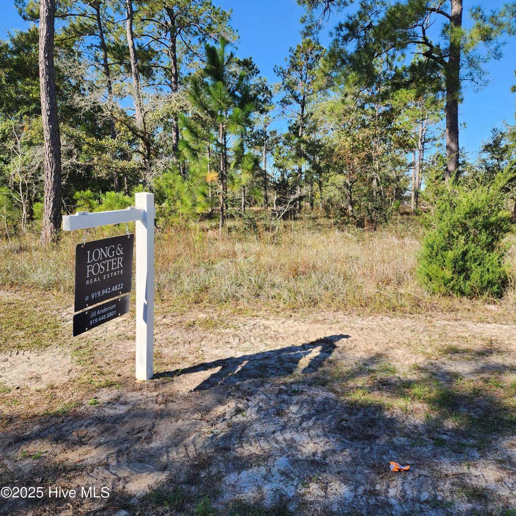 Photo of 551 Glitter Bay Loop, Shallotte, NC 28470 (MLS # 100597925)