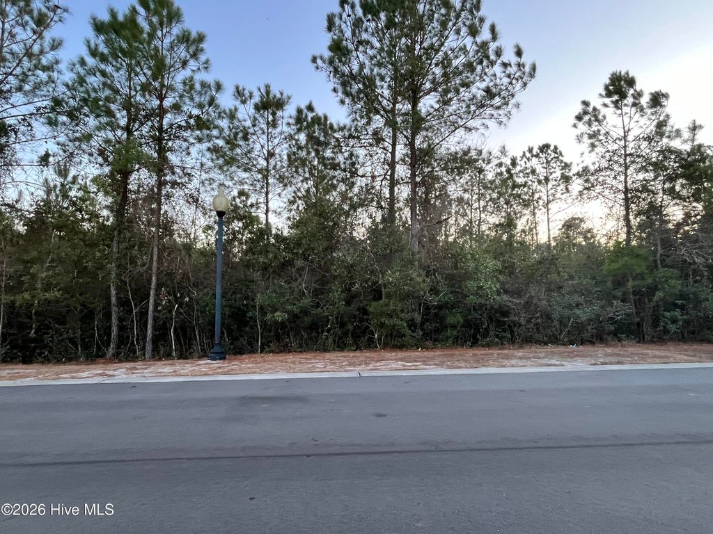 Photo of 2957 Old Berwick Street SW, Shallotte, NC 28470 (MLS # 100550284)