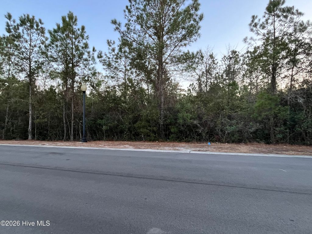 Photo of 2957 Old Berwick Street SW, Shallotte, NC 28470 (MLS # 100550284)