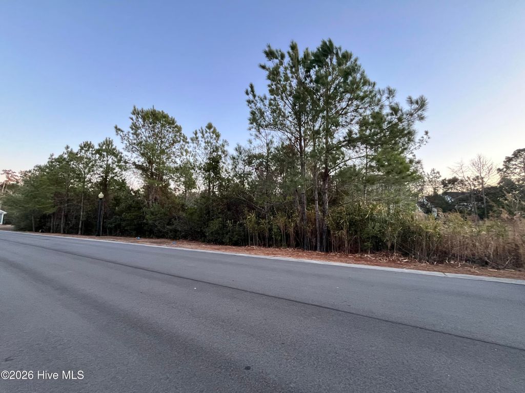 Photo of 2957 Old Berwick Street SW, Shallotte, NC 28470 (MLS # 100550284)