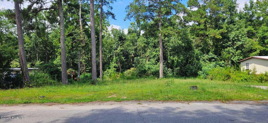 Photo of 2815 April Drive, Augusta, GA 30906 (MLS # 100594896)