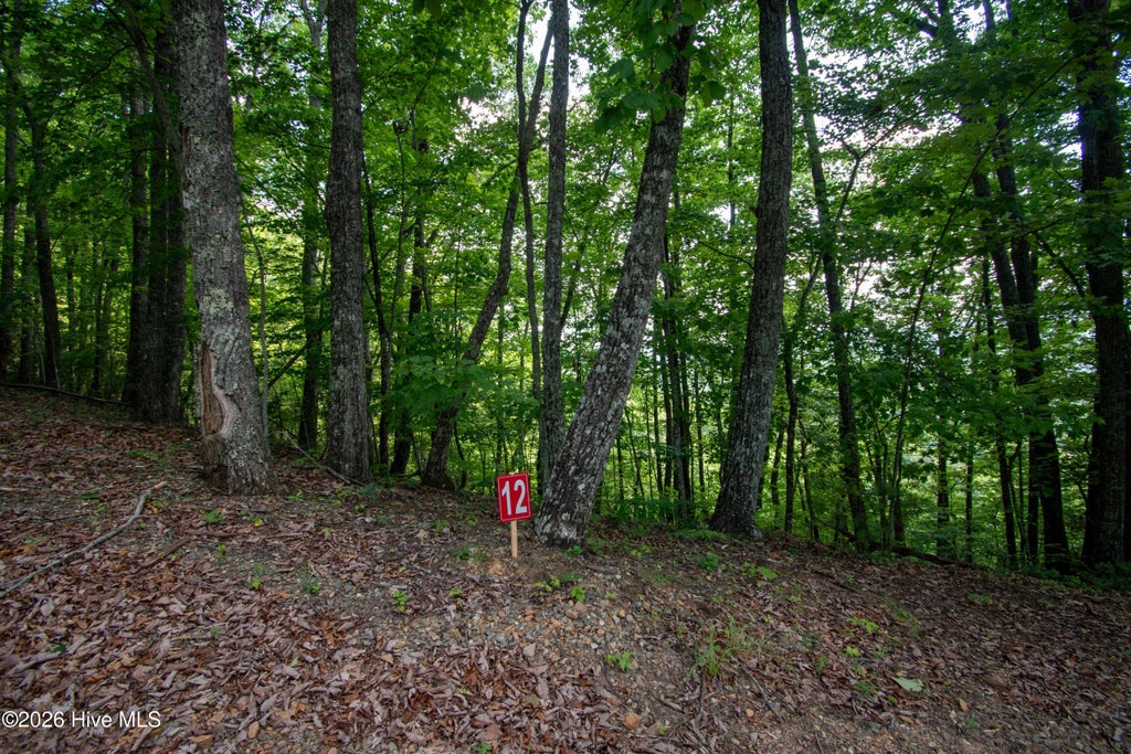 Photo of 0 Desoto Trail, Marble, NC 28905 (MLS # 100588103)