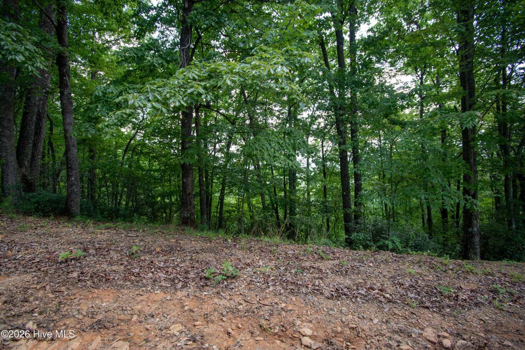 Photo of 0 Desoto Trail, Marble, NC 28905 (MLS # 100588103)