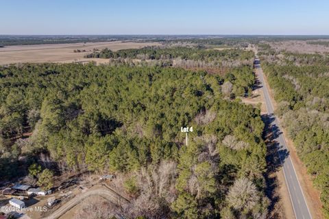 Vacant Land For Sale - 26688 Nc-210<br/> Bladen County, Kelly, NC 28448