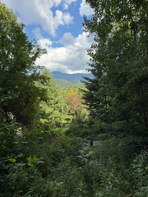 Vacant Land For Sale - LOT 2 Varsity Drive<br/> Jackson County, Sylva, NC 28779