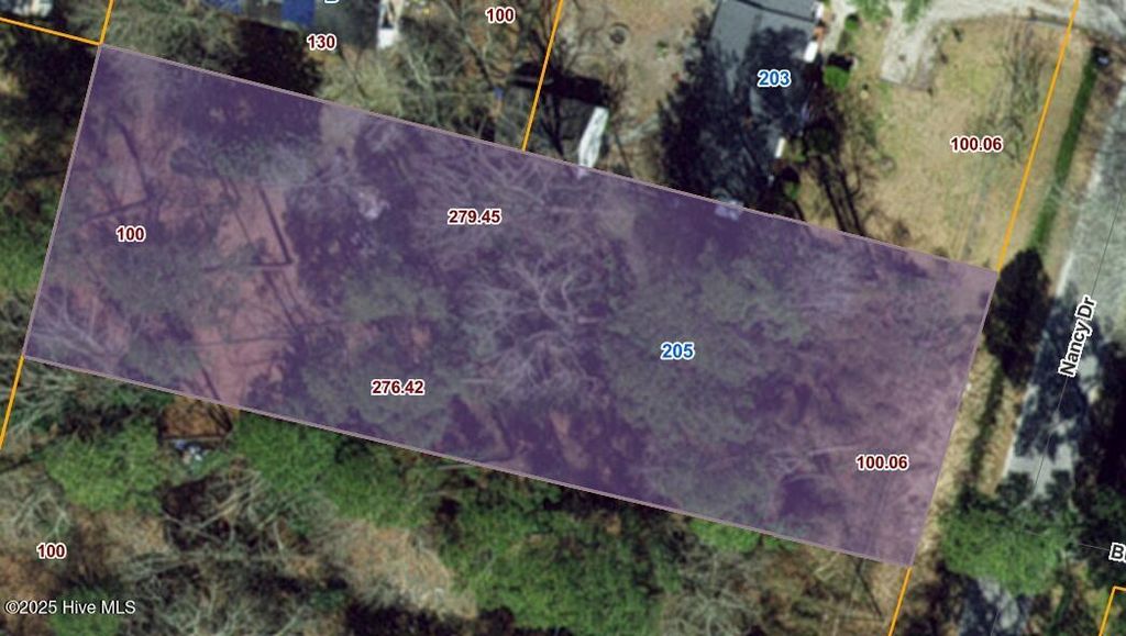 Photo of 205 Nancy Drive, Dudley, NC 28333 (MLS # 100538706)