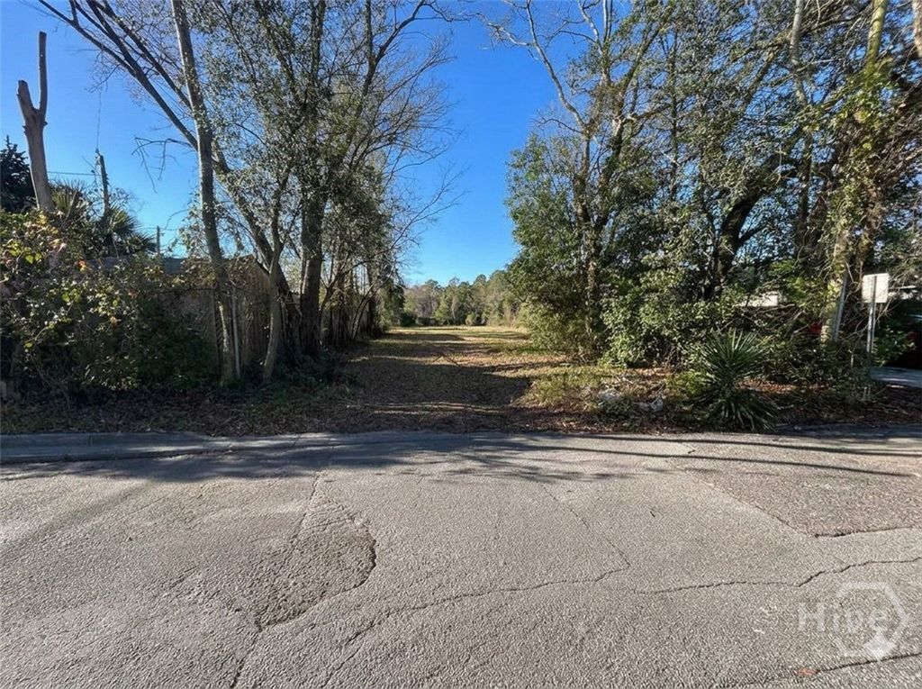 Photo of 786 Wolf Street, Savannah, GA 31401 (MLS # SA350423)