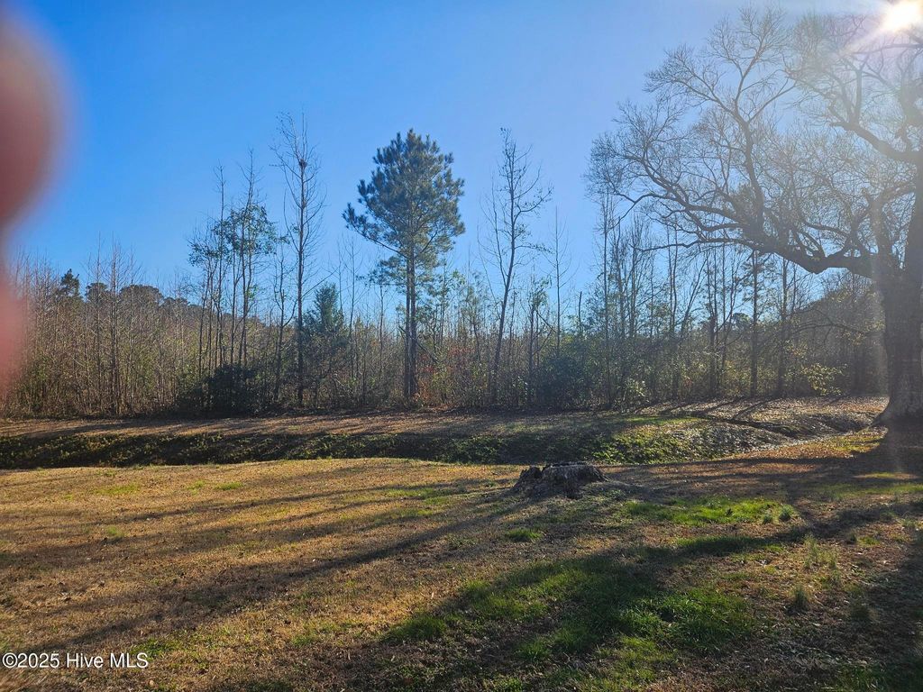 Photo of 1200 Anderson Road, Willard, NC 28478 (MLS # 100481787)