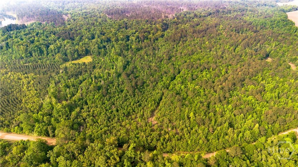 Photo of 0 Fields Farm Road, Millen, GA 30442 (MLS # SA354641)